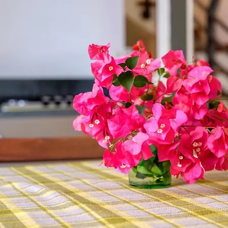 Bougainville Apartment *