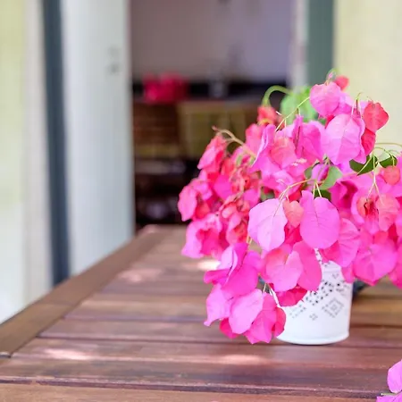 Bougainville Lipari (Isola Lipari)